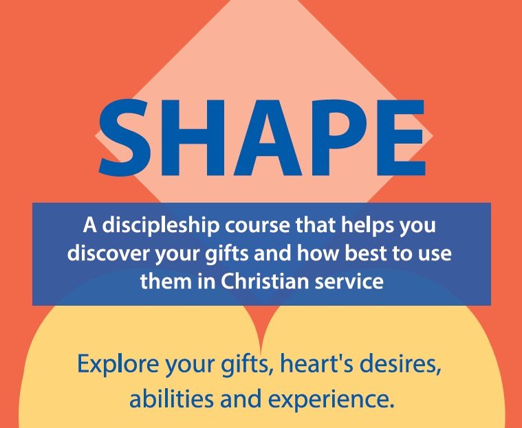 Shape Course – Mar 2025